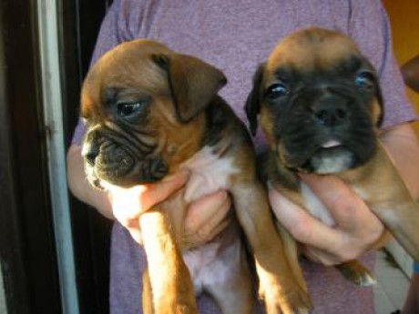 12131240920099128482